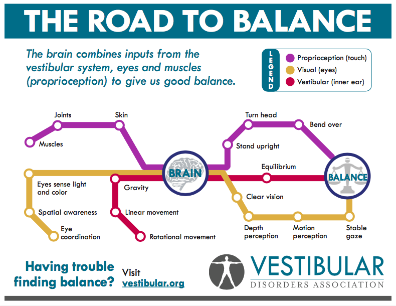 Main balance. Find Balance. The vestibular System. Gaze and vestibular. Weight and Balance System.